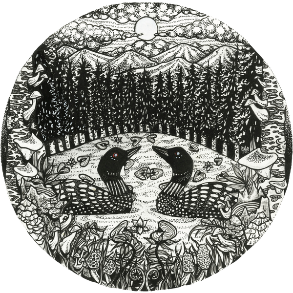 Hidden Forest Homestead 